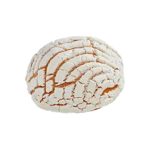 Concha blanca SKU 17749