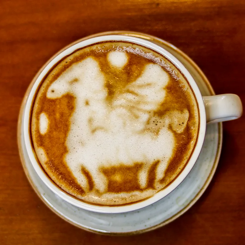 Mokaccino | 12 Oz