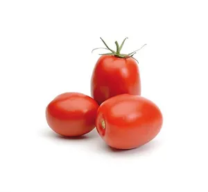 Tomate pomarola