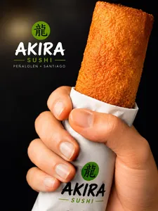 HAND ROLL DE SALMON