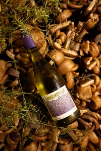 Moretta Lesespias Field Blend 750cc.
