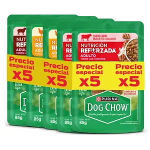 5 ALIMENTO HUMEDO DOG CHOW ADULTOS SURTIDO 100G PRECIO ESPECIAL