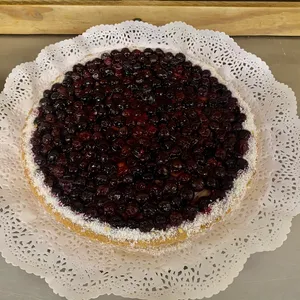 Tartaleta de arandano