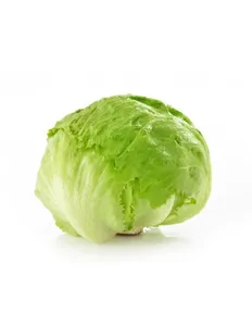 Lechuga escarola