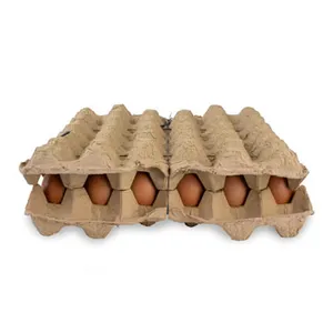 Huevos Criollos X 30