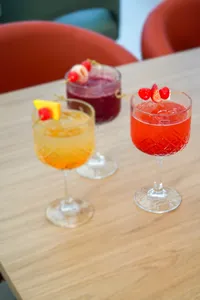 Soda de Frutos Rojos