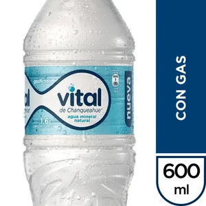 Agua mineral gasificada 600 ml