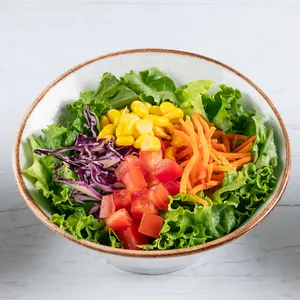 ENSALADA JARDINERA PERSONAL