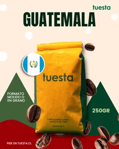 Guatemala | Huehuetenango 250 GR