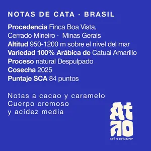 🇧🇷 BRASIL | Boa Vista