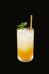 Huesillo And Tonic