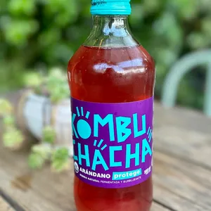Kombucha de Arándano 500 ml Kombuchacha