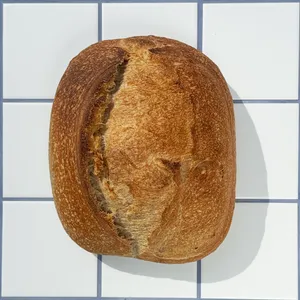 Hogaza Semi Integral