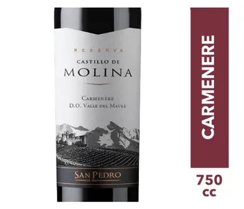 Reserva Castillo De Molina Carmenère