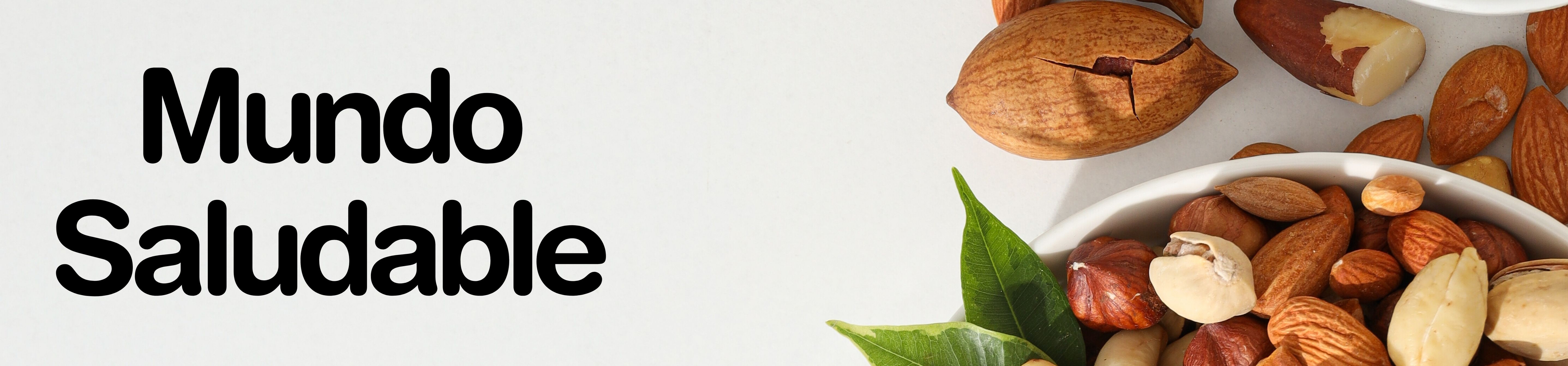 Banner Mundo saludable